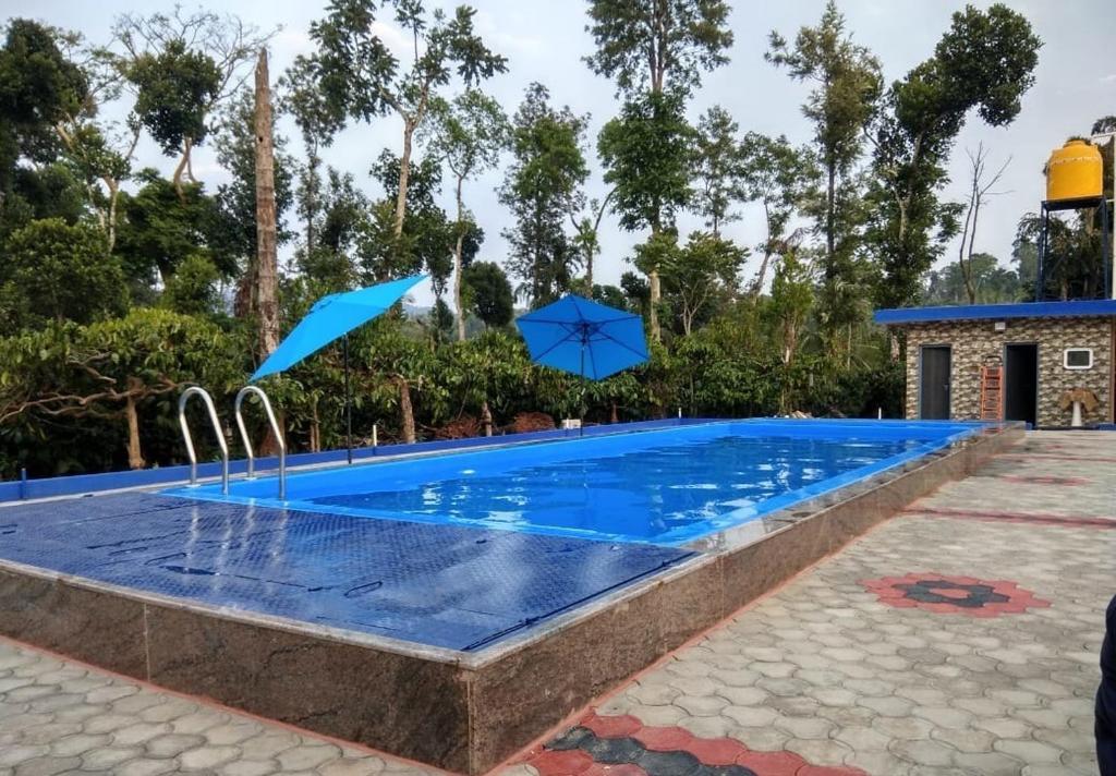 Sakleshpur: Giridarshini Homestay - Pool, Falls, Home Food & Estate