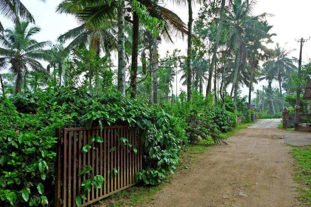 Sakleshpur: Giridarshini Homestay - Pool, Falls, Home Food & Estate