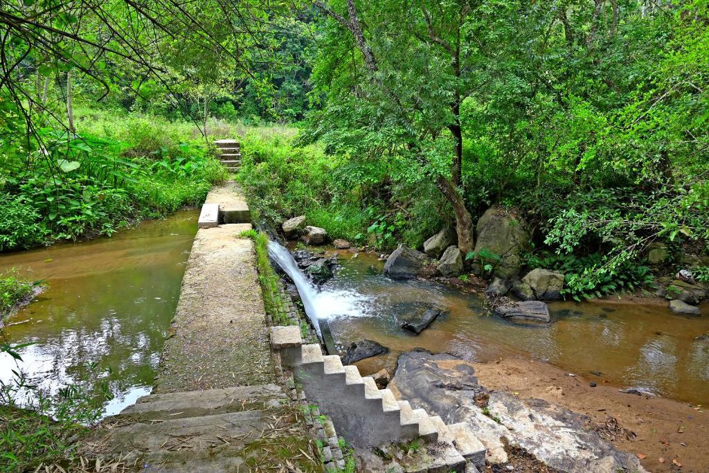 Sakleshpur: Giridarshini Homestay - Pool, Falls, Home Food & Estate