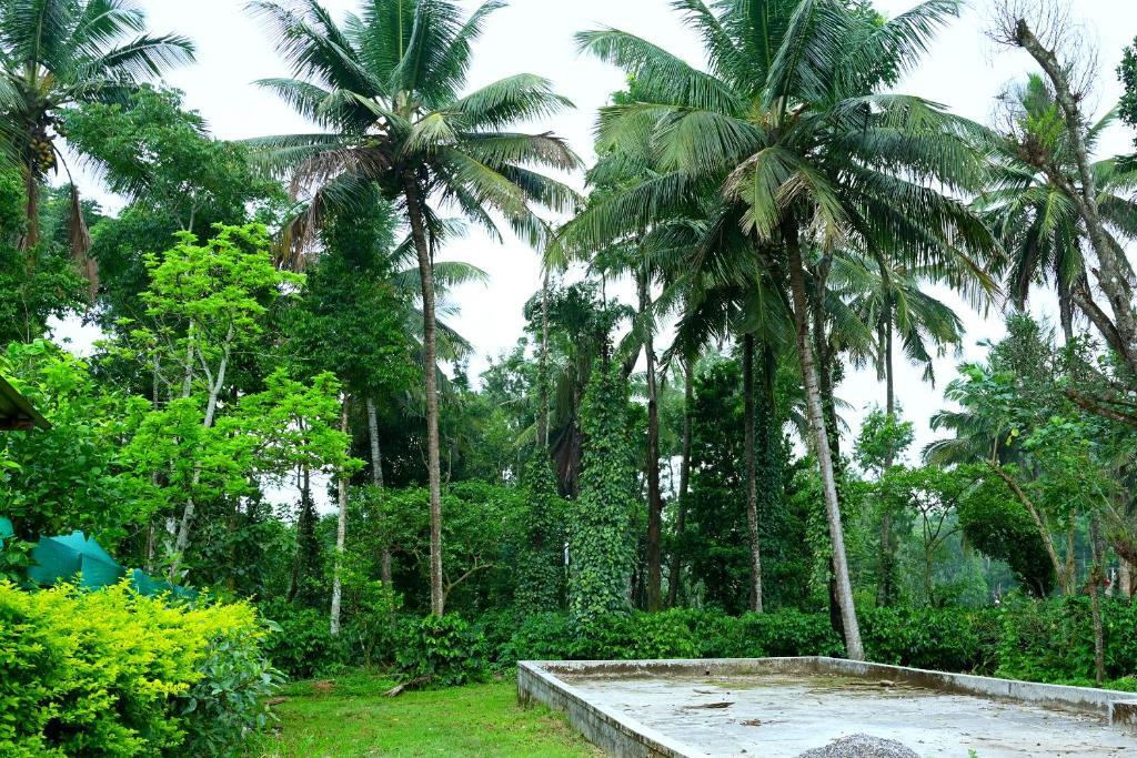 Sakleshpur: Giridarshini Homestay - Pool, Falls, Home Food & Estate