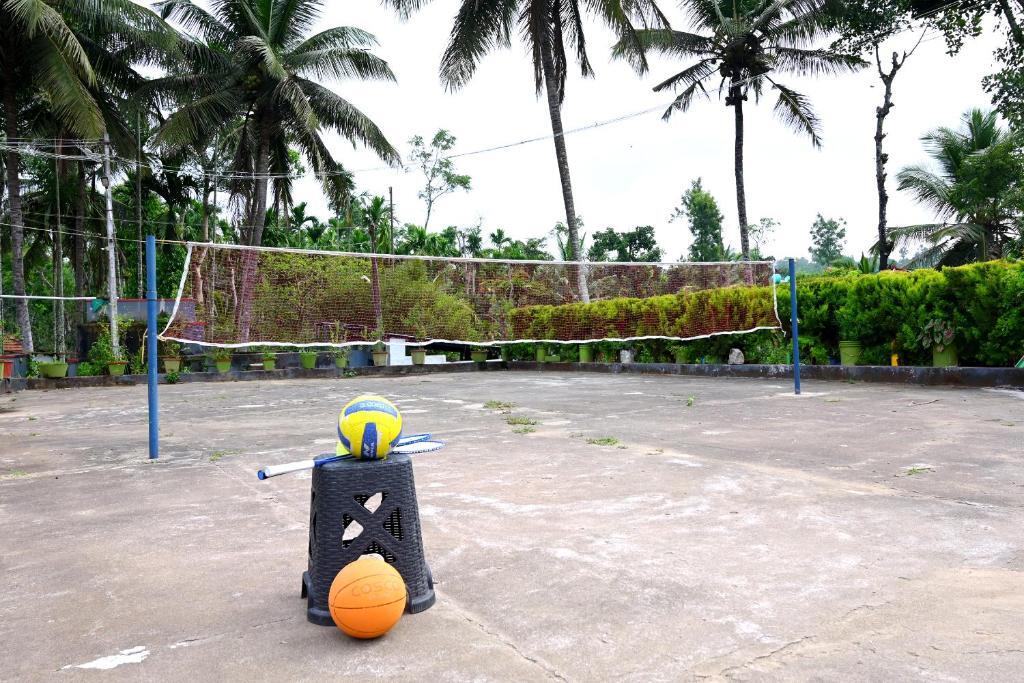 Sakleshpur: Giridarshini Homestay - Pool, Falls, Home Food & Estate