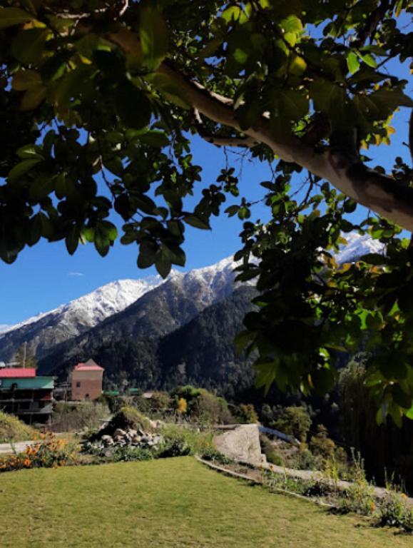 Калпа: Monal Residency by StayApart