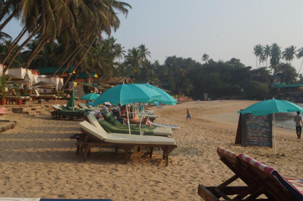 Южный Гоа: Royal Wood Beach Resort