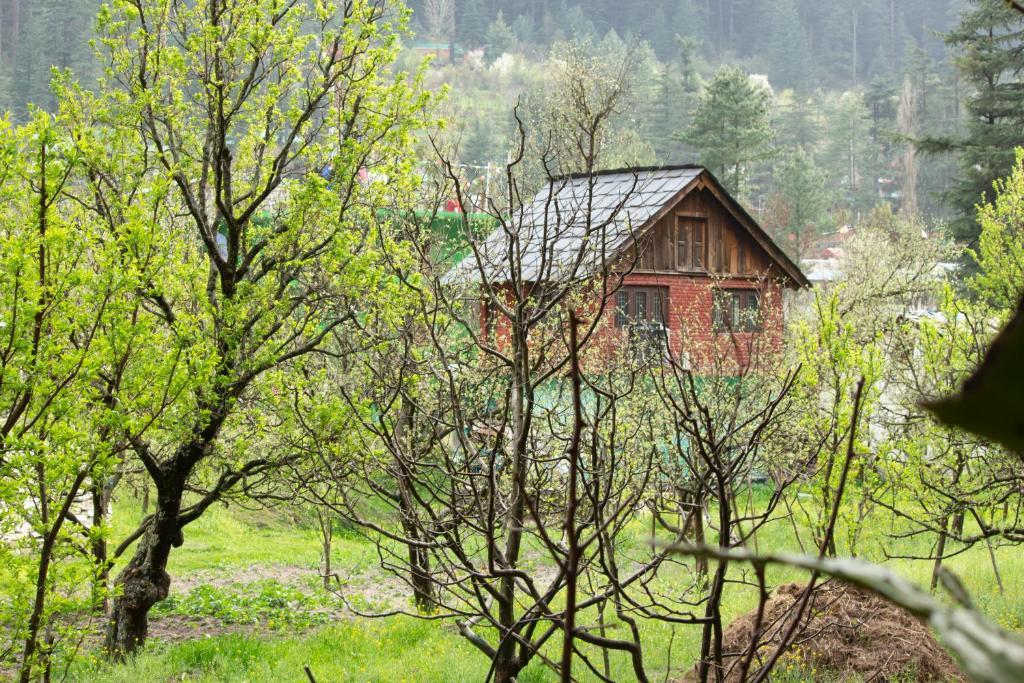 Касоль: The Royal Orchard Kasol
