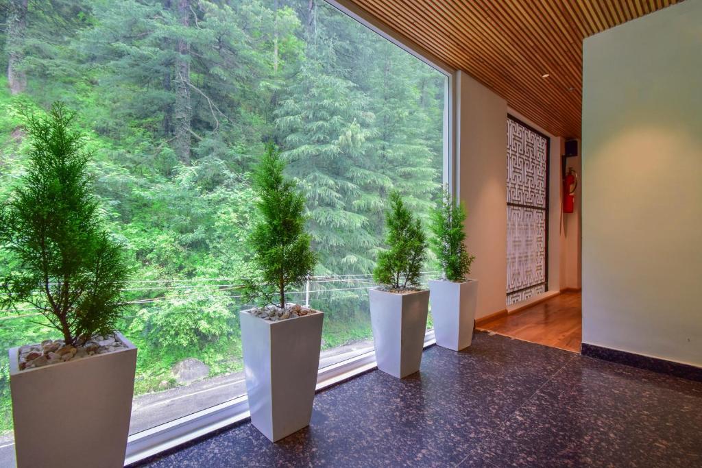 Касоль: Moksha Riverside Resort Kasol