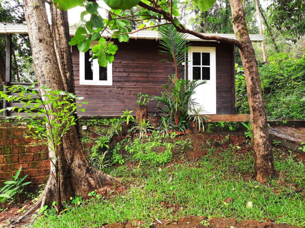 Южный Гоа: Nirvana Hill Resort