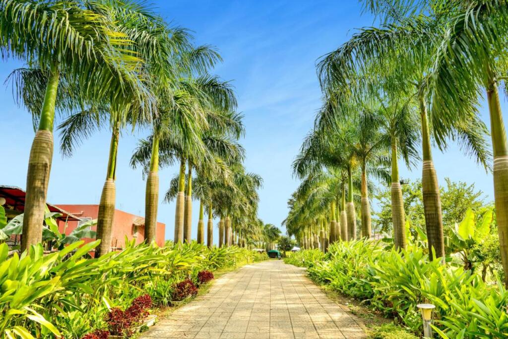 Мумбаи: Anchaviyo Resort