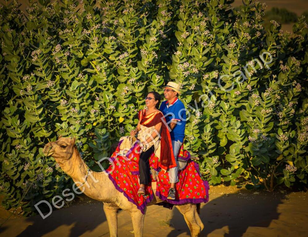 Каной: Desert Dream Royal Camp