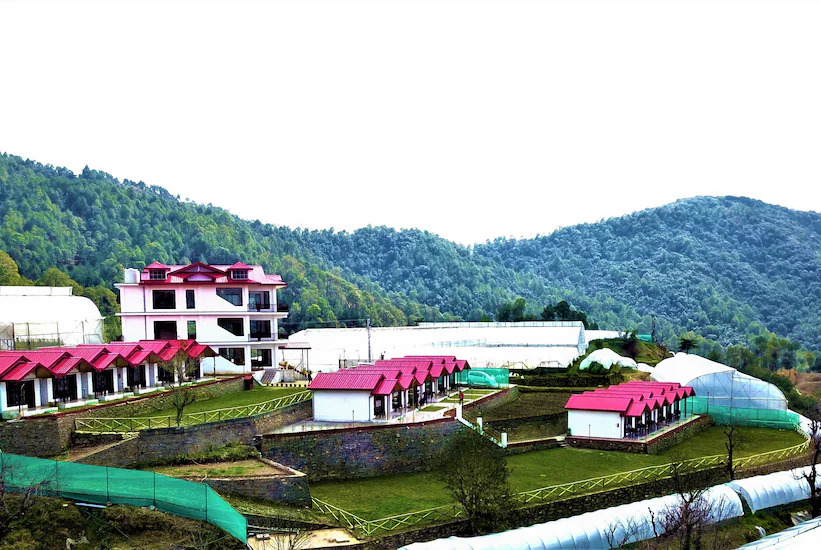 Resort Extreme Village Cottages Chail — фото 6