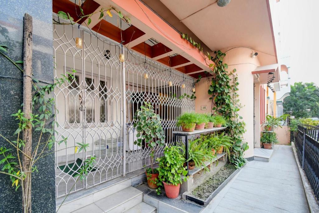 OYO Flagship 84103 Blue Star Guest House — фото 1