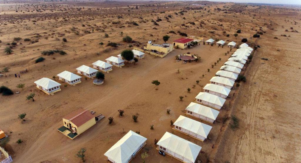 Golden Marigold Desert Camp — фото 6