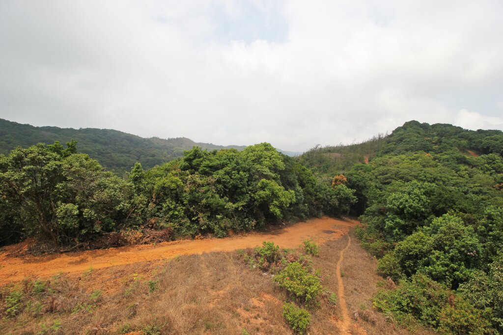 Кушалнагар: Oyo 8702 Coorg Treehouse