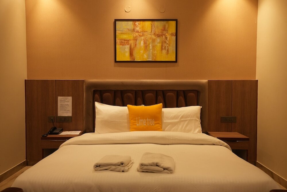 Большая Нойда: Lime Tree Hotel and Banquet Greater Noida