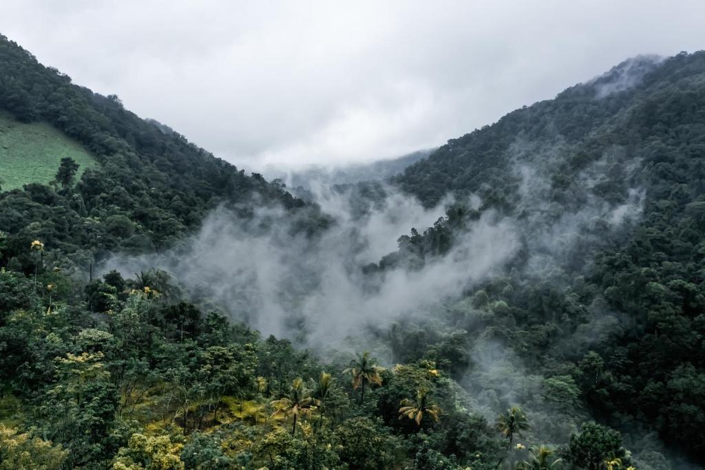 Какабе: Holistic Stay Eco Resort & Ayurvedic Retreat