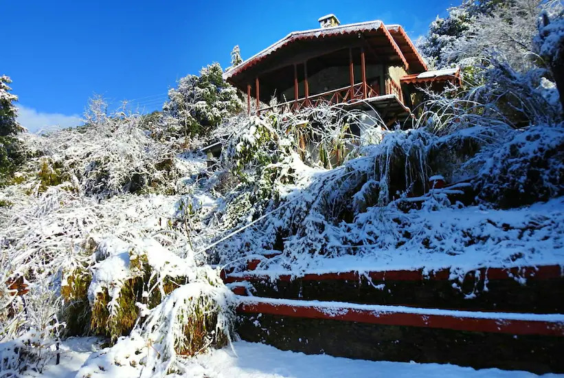Гуруграм: Jungle Lore Birding Lodge, Pangot