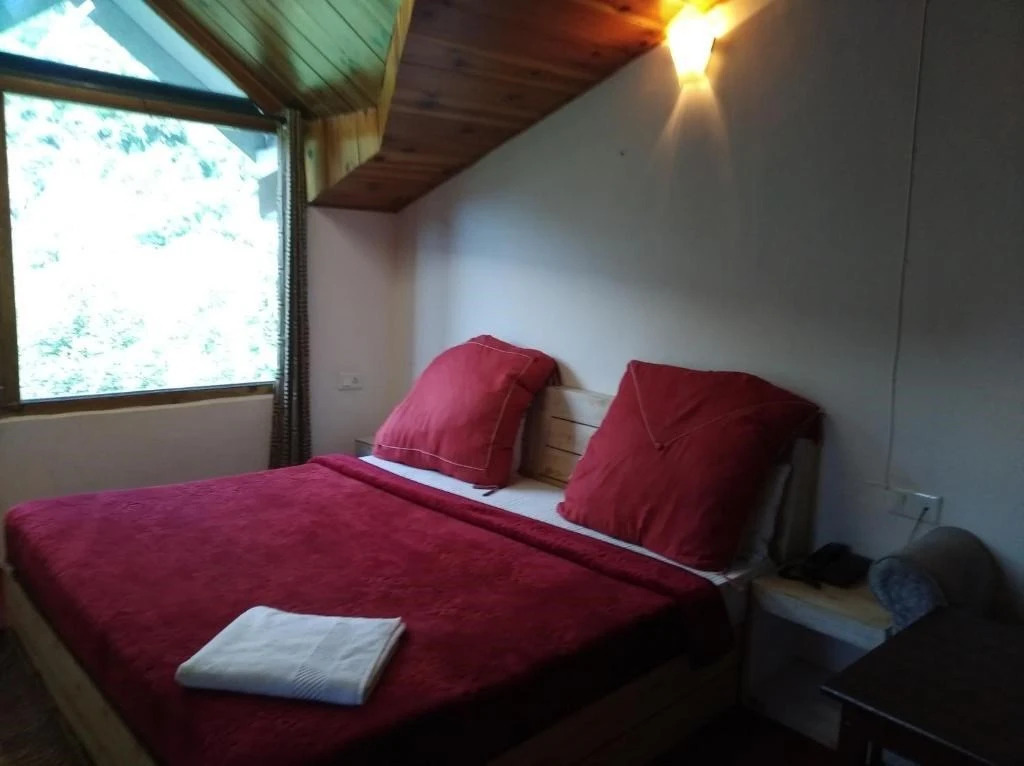 Манали: Hotel Sun N Snow Manali
