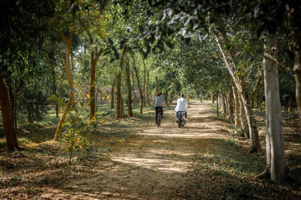 Крепость Jhansi: Shatam Jeeva - Ayurveda Wellness Retreat, Jhansi