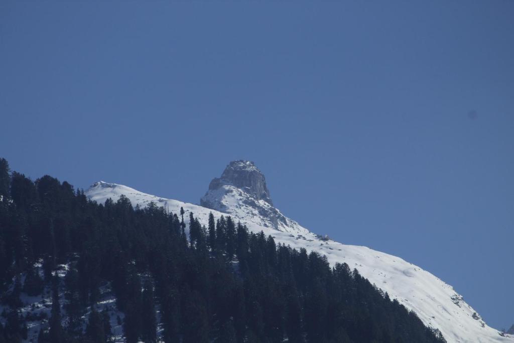 Манали: Hotel the moksha valley