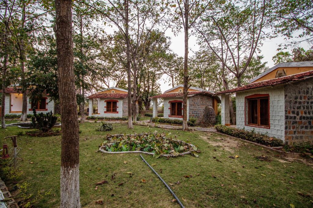 Баихар: Jungle King Resort