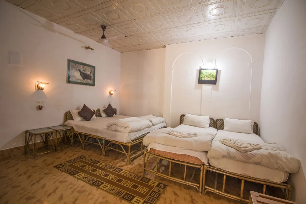Баихар: Jungle King Resort