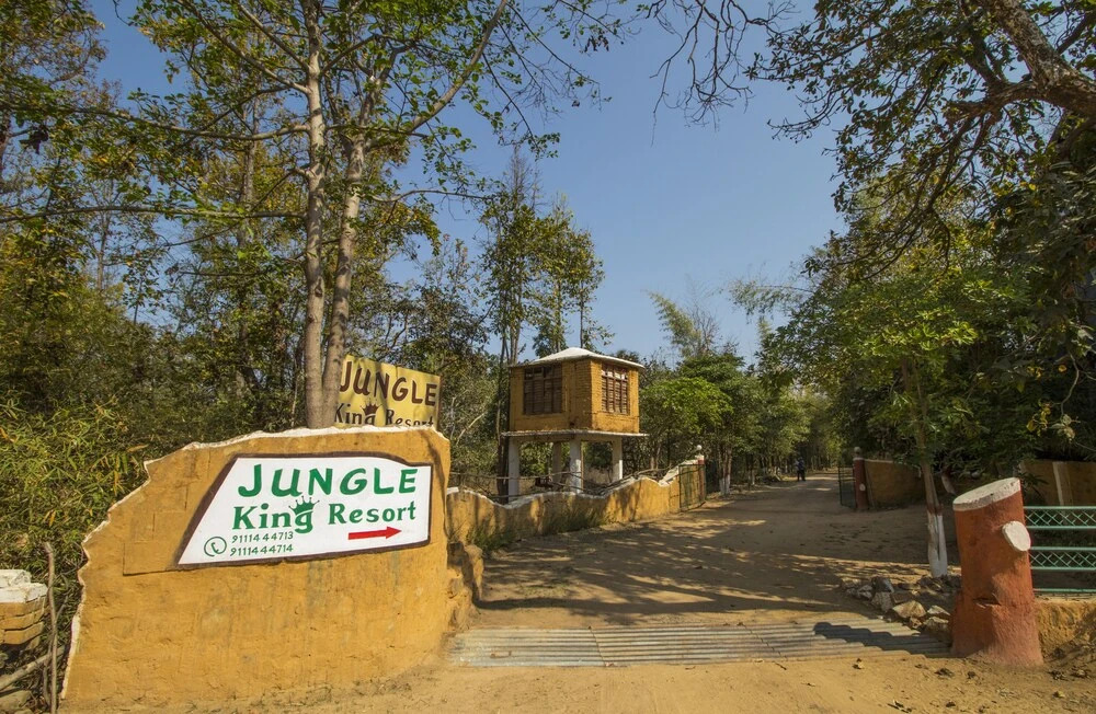 Баихар: Jungle King Resort
