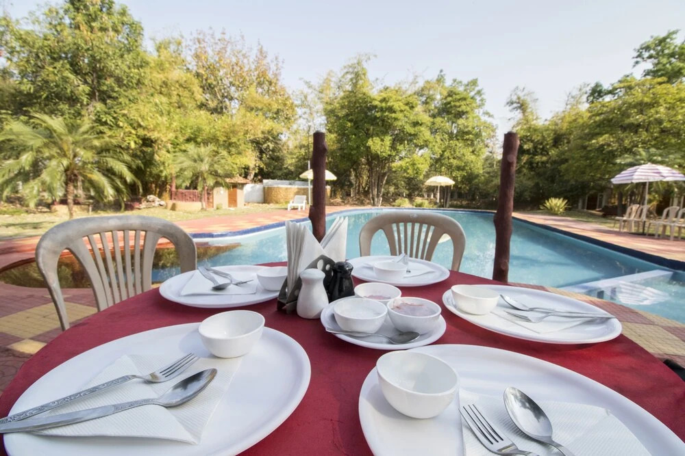 Баихар: Jungle King Resort