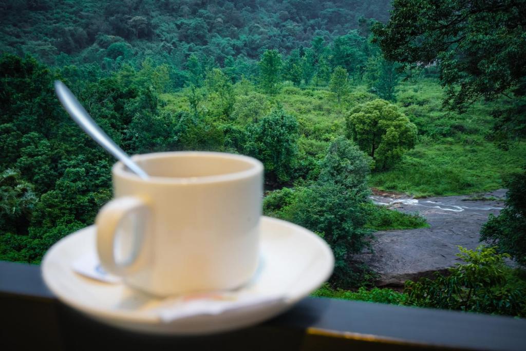Валпарай: Misty Range Resorts