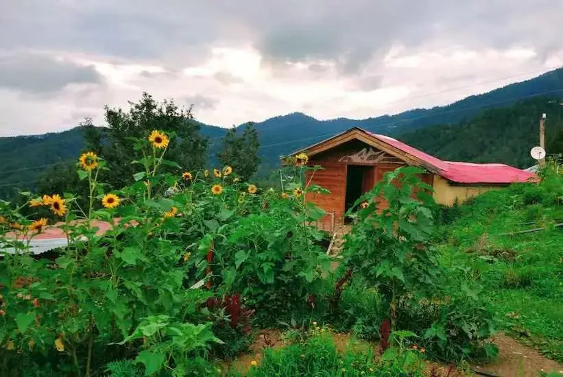Куфри: Kings Hills Cottages