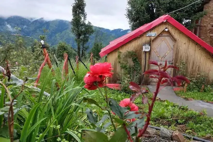 Куфри: Kings Hills Cottages