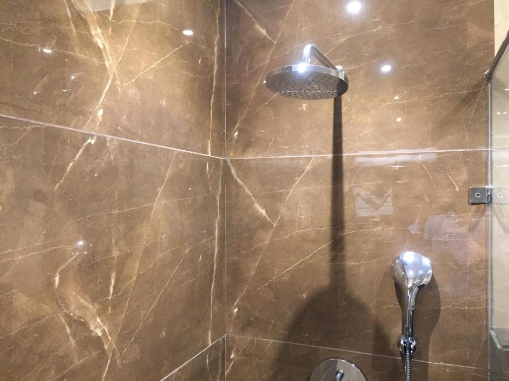 Варанаси: Arcadia Hotel