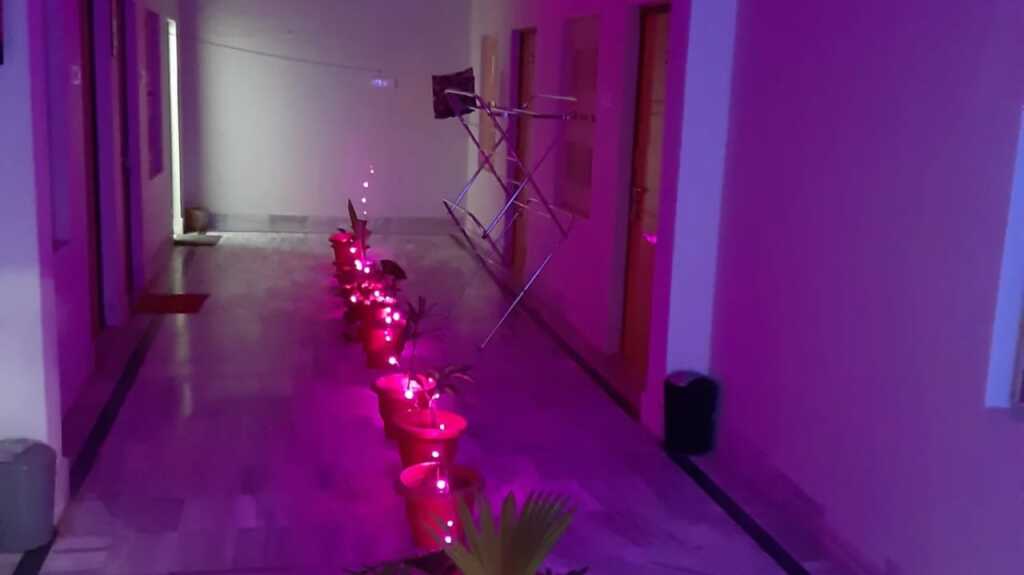 Kashi Stay Guest House — фото 4