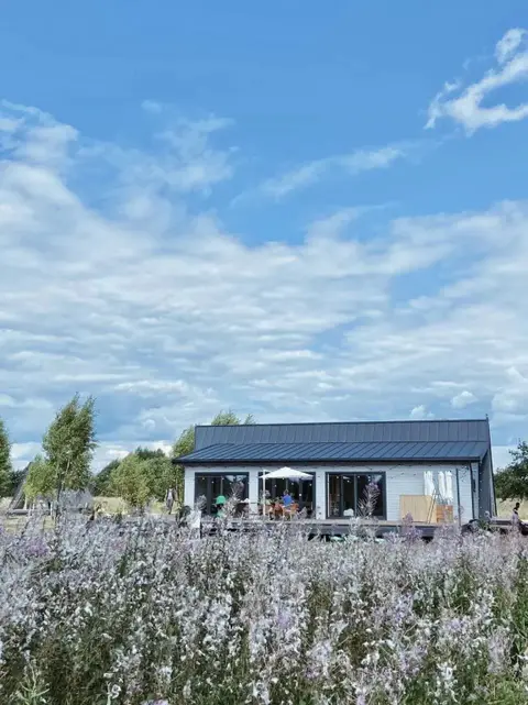 Дубна: Гостевой дом Woody Village Riverside