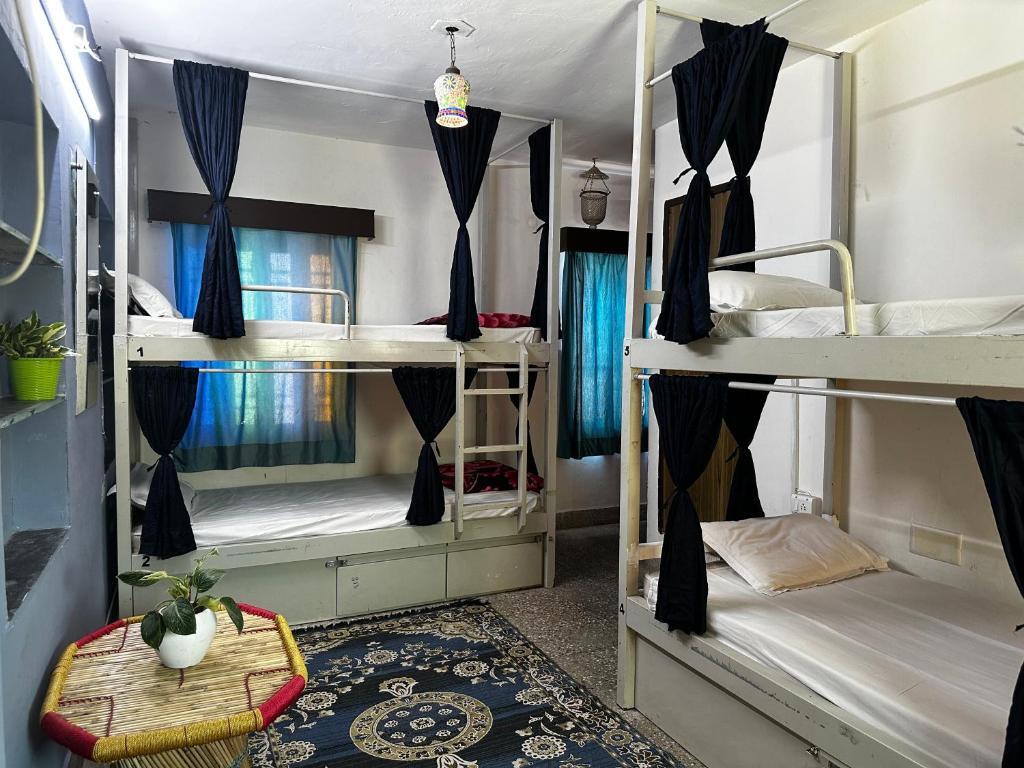 Удаипур: Dreamyard Udaipur - Hostel
