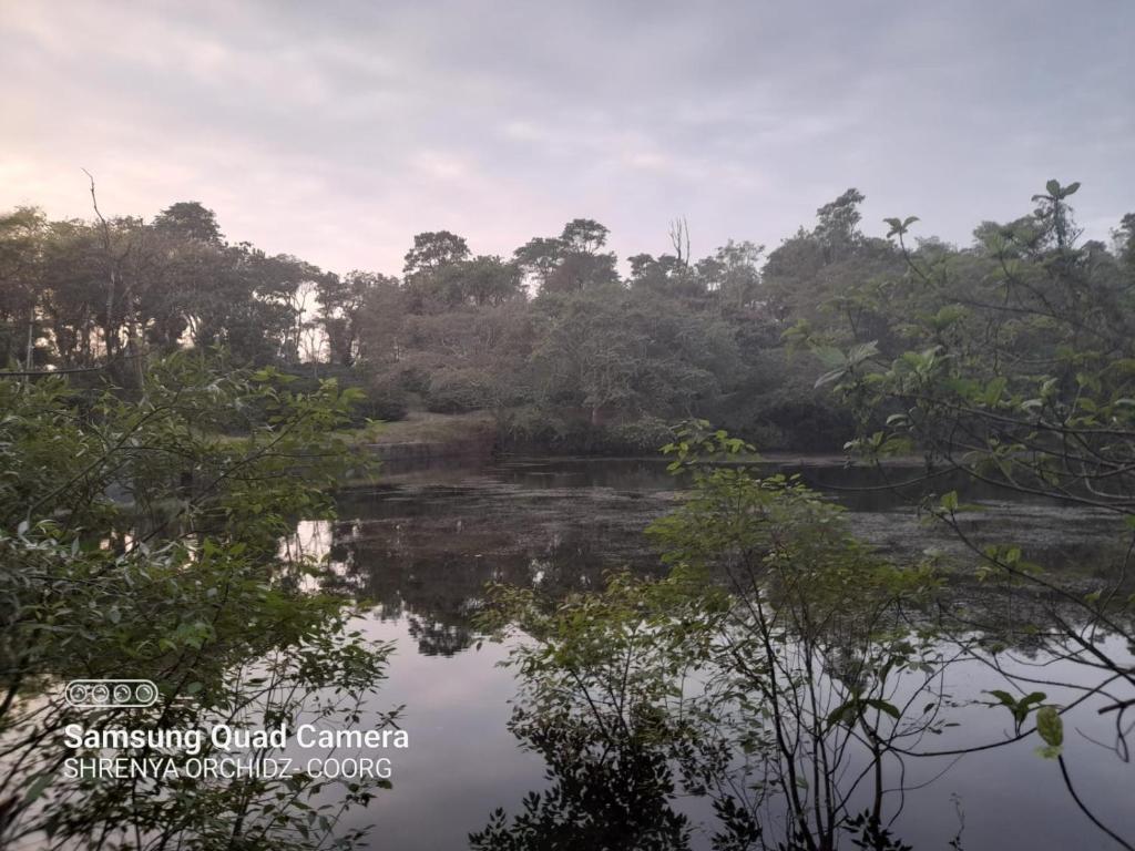Кушалнагар: Shrenya Orchidz-Coorg Nature Stay