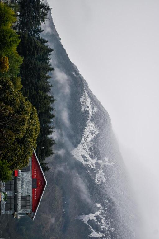 Катра: Hotel Devdar Resort