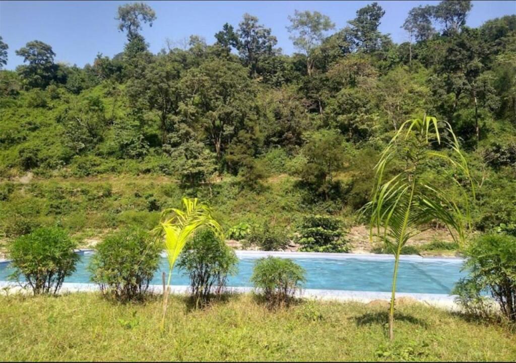 Чубаттакхал: Crocus River Resort