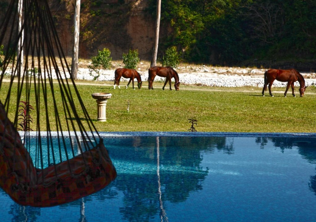 Наинитал: Corbett Riverside Resort