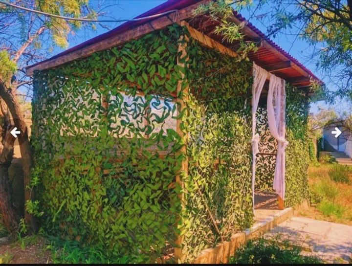 Саки: Калабрия