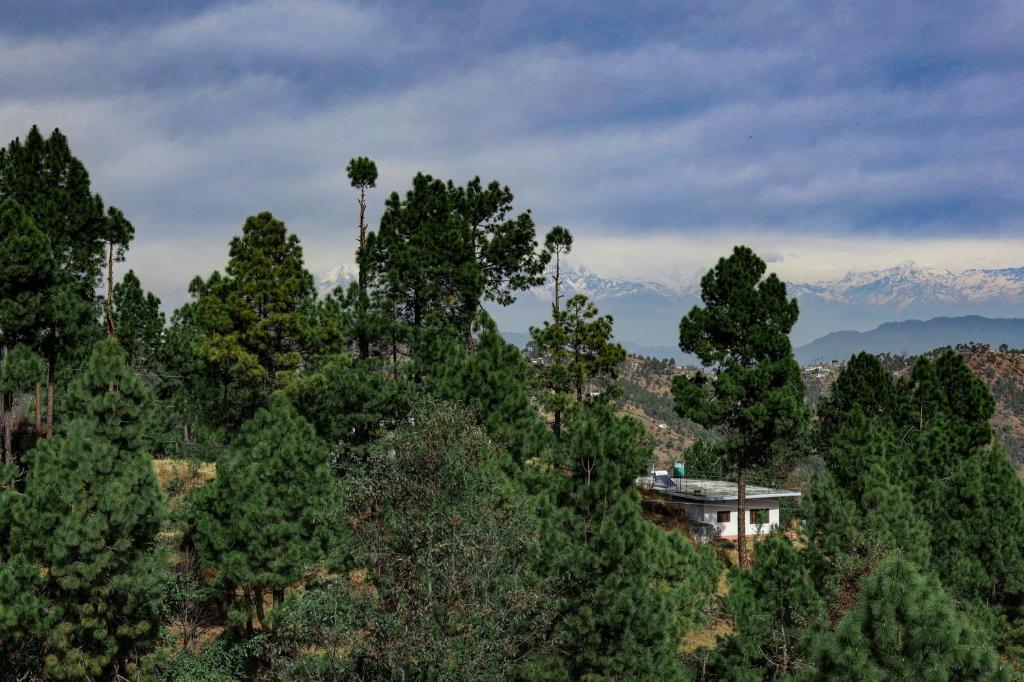 Раникхет: Treebo Trend Kasar Inn With Mountain View