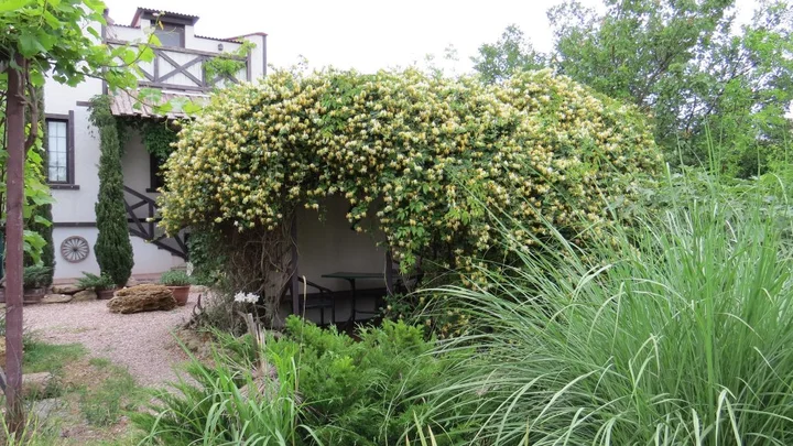 Заозерное: Guest House Yakor
