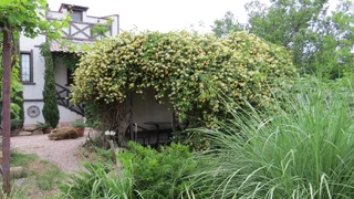 Заозерное: Guest House Yakor