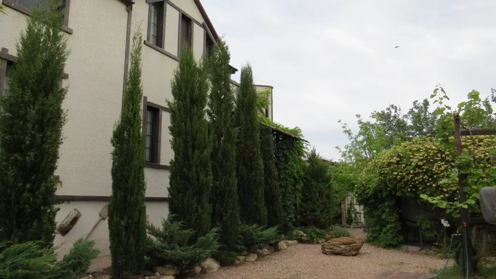Заозерное: Guest House Yakor