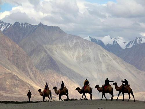 Хундер: TIH Lharje Resort - Nubra