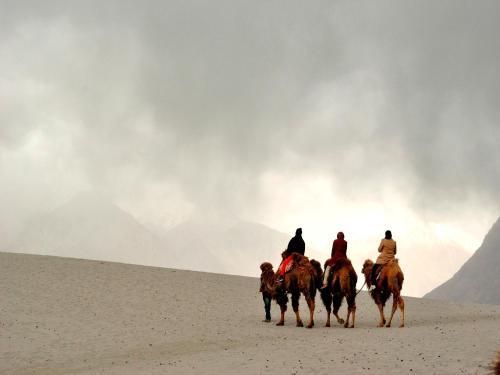 Хундер: TIH Lharje Resort - Nubra