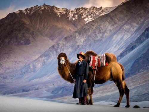 Хундер: TIH Lharje Resort - Nubra