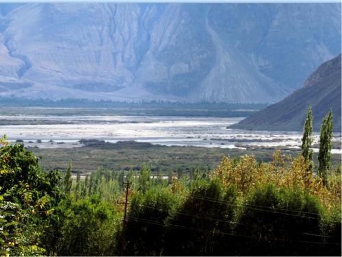 Хундер: TIH Lharje Resort - Nubra