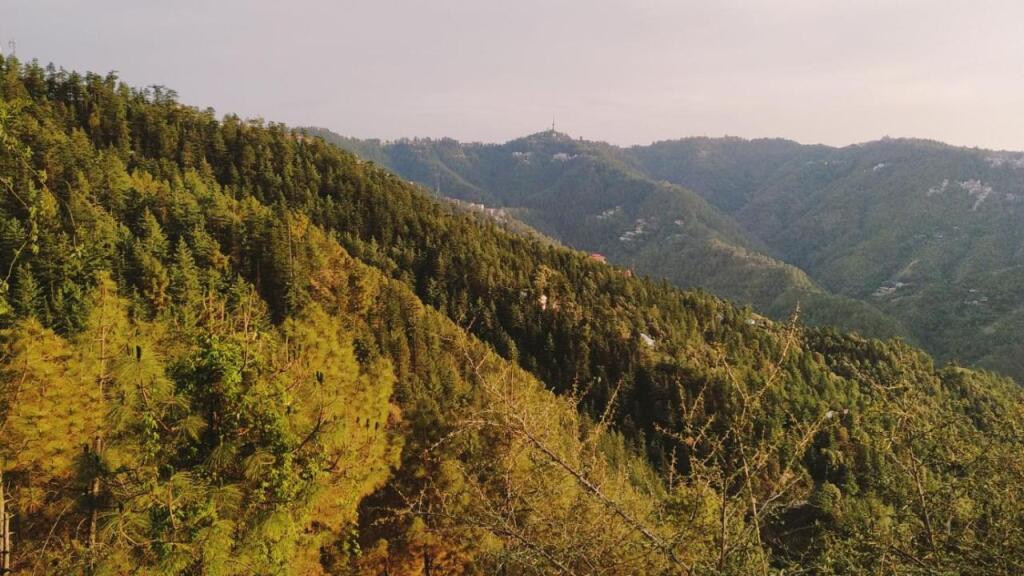 Шимла: Hotel Hilton View Shimla