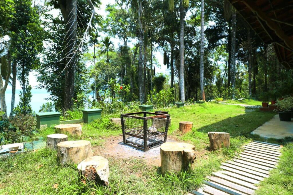 Кушалнагар: Saffronstays Coorg Toddy Farms