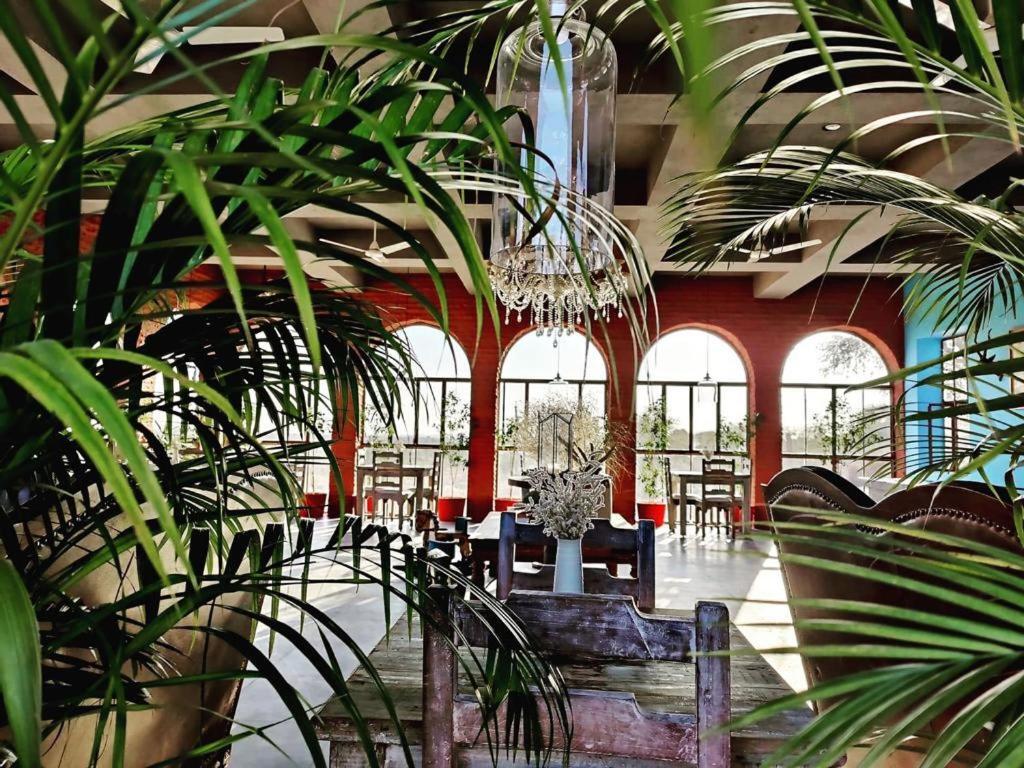 Khiyansaria: Kaner Retreat - India's First Desert Botanical Resort