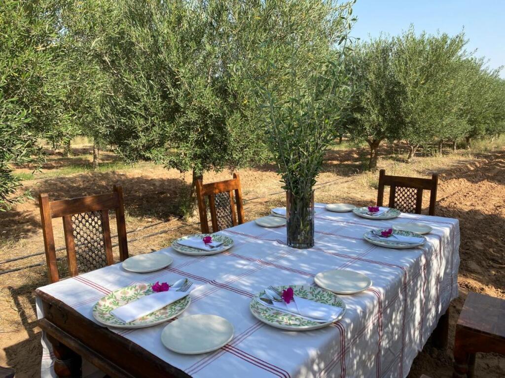 Khiyansaria: Kaner Retreat - India's First Desert Botanical Resort